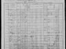Julia A Johnson; 1900 U.S. census