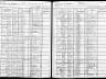 Julia Johnson; 1905 N.Y. state census