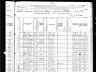 Michael White; 1880 U.S. census