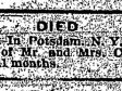 17 November 1903, p. 8, col. 6; obituary