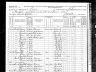 Theresa Ward; 1870 U.S. census