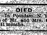 William Connelly; obituary